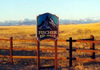 Fischer Red Angus Cattle Ranch