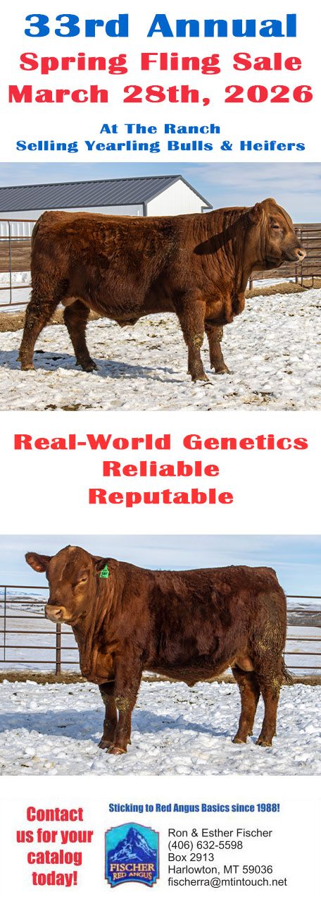 Fischer Red Angus Spring Fling Bull Sale